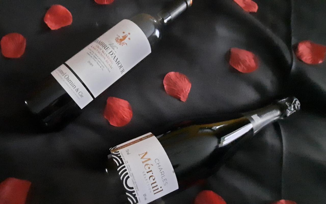 Nuit Insolite-Room Love Saint-Germain  Экстерьер фото